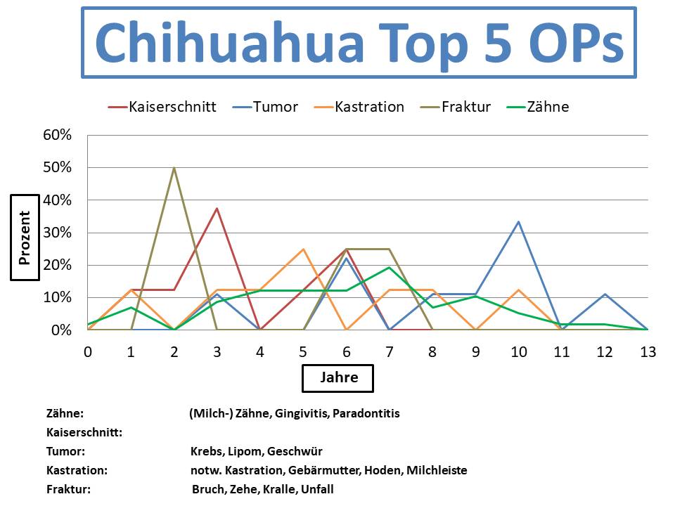 Chihuahua Krankheiten und Tierarztkosten im Altersdiagramm
