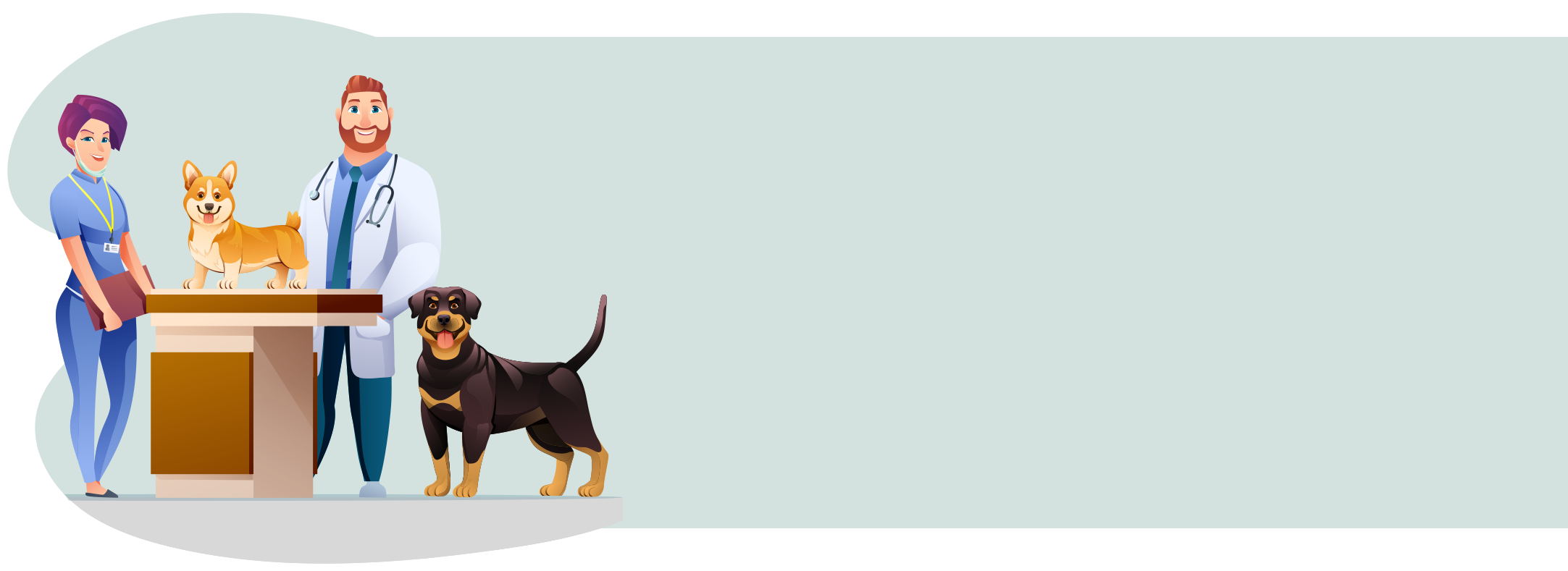 Rottweiler Hundeversicherung Tipp