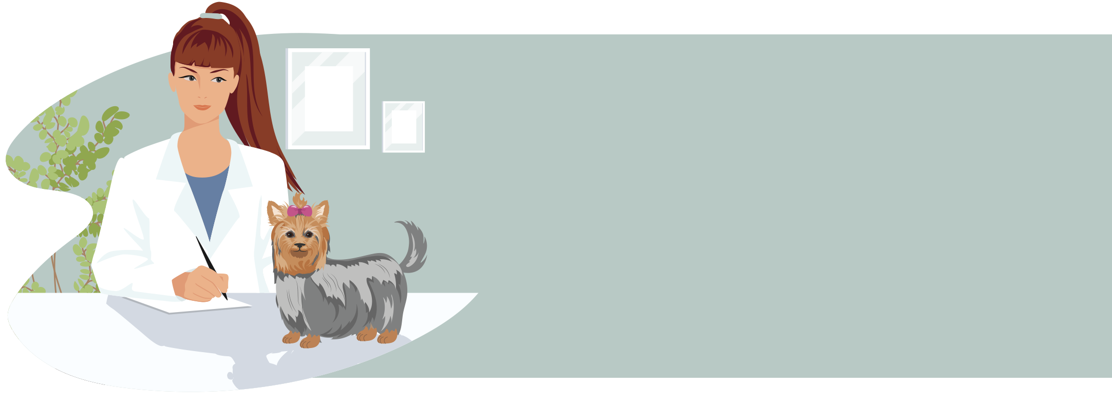 Yorkshire-Terrier Hundeversicherung Tipp