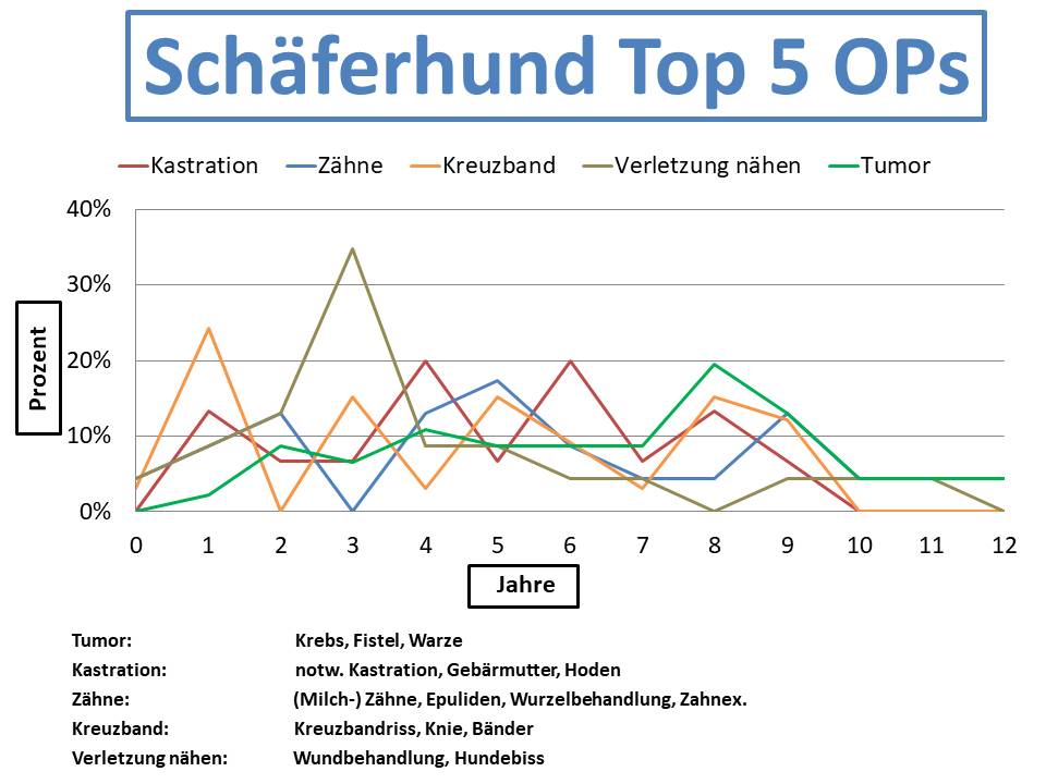 Schäferhund Krankheiten und Tierarztkosten im Altersdiagramm