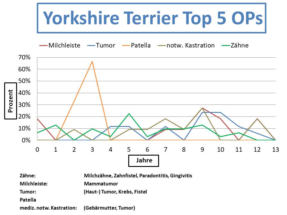 Yorkshire-Terrier Krankheiten und Tierarztkosten im Altersdiagramm