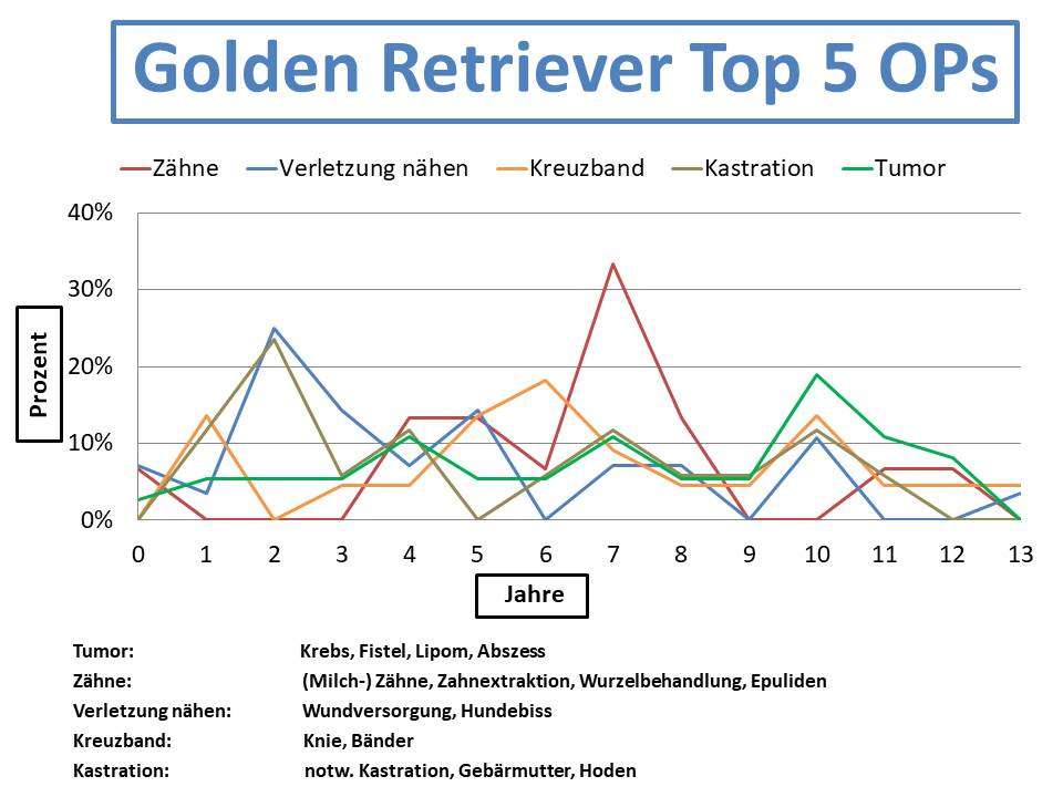 Golden Retriever Krankheiten und Tierarztkosten im Altersdiagramm