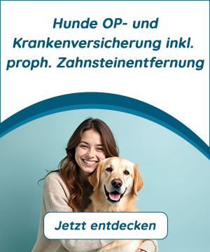 Hundeopversicherung Versicherungsempfehlung OP- und Krankenversicherung mit Zahnsteinentfernung
